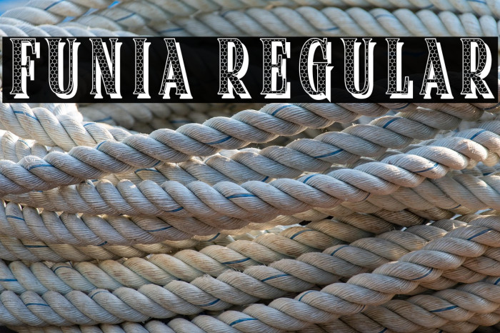 Funia Regular Example 1