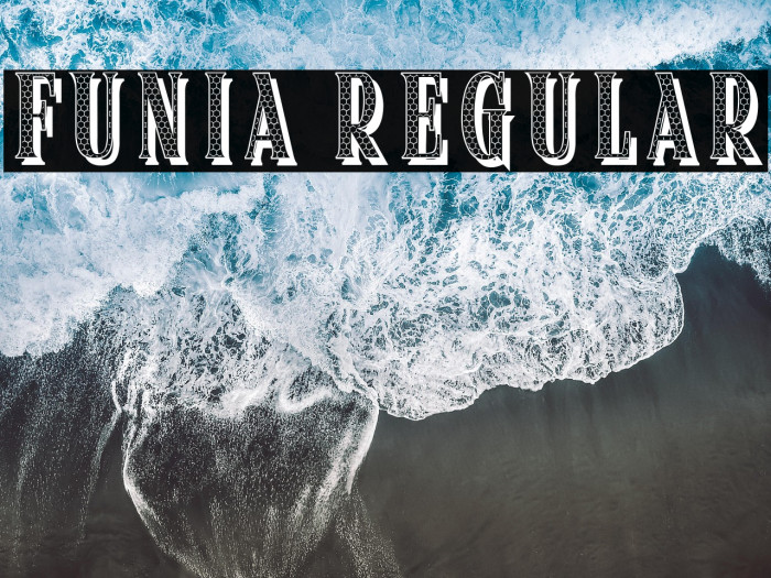 Funia Regular Example 2