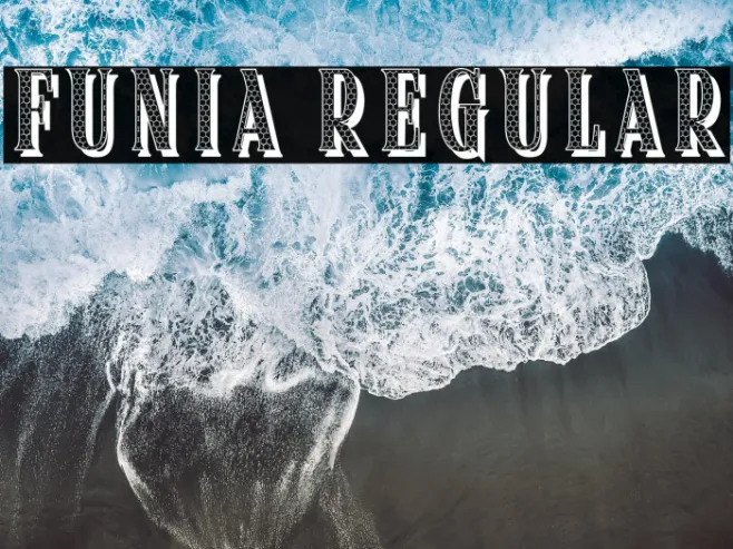 Funia Regular Example 2