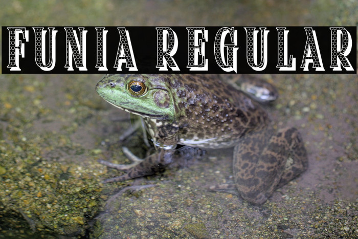 Funia Regular Example 3