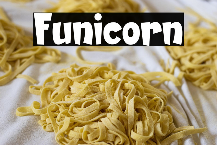 Funicorn Example 1