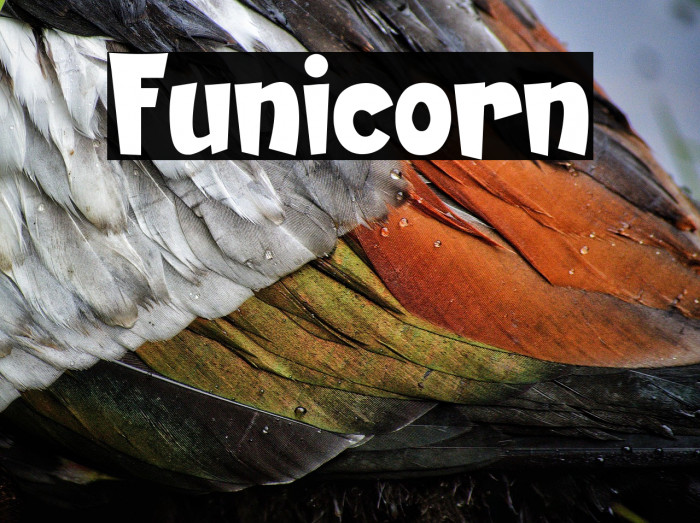 Funicorn Example 3