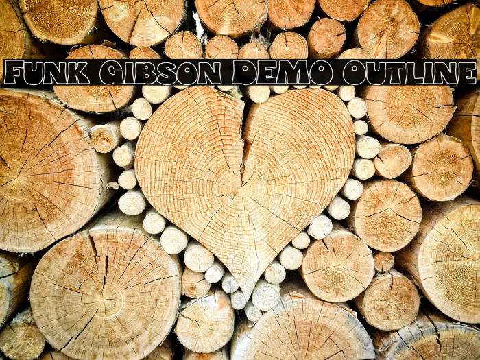 Funk Gibson DEMO Outline Example 3
