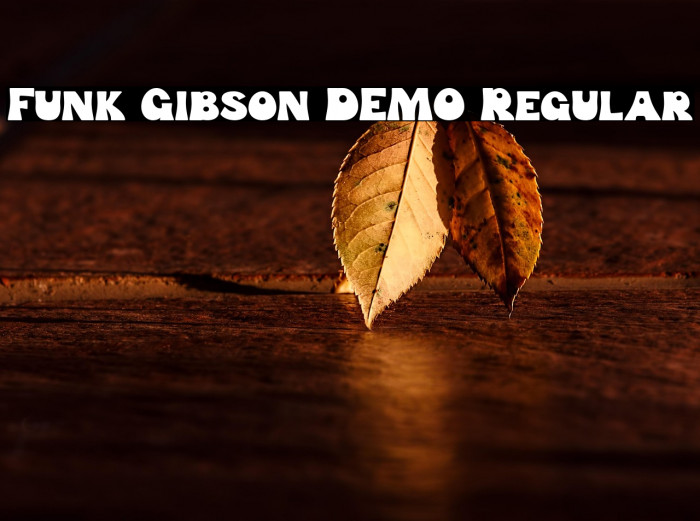 Funk Gibson DEMO Regular Example 2