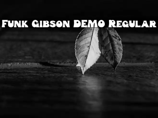Funk Gibson DEMO Regular 字体 examples