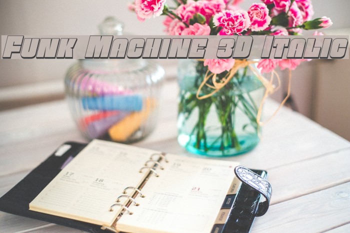 Funk Machine 3D Italic Font examples