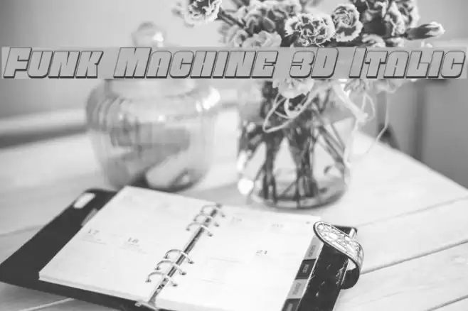 Funk Machine 3D Italic  examples