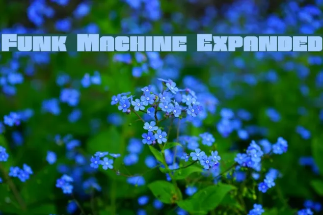 Funk Machine Expanded Example 1