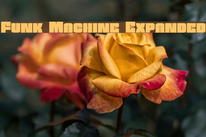 Funk Machine Expanded Font examples
