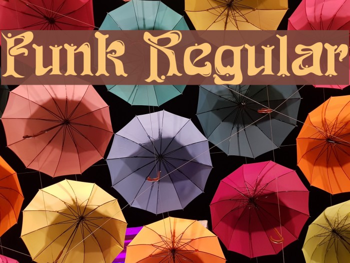 Funk Regular Font - FFonts.net