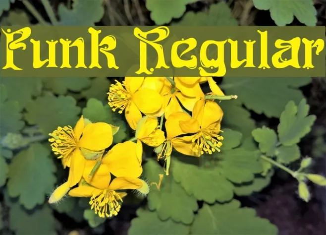 Funk Regular Example 3