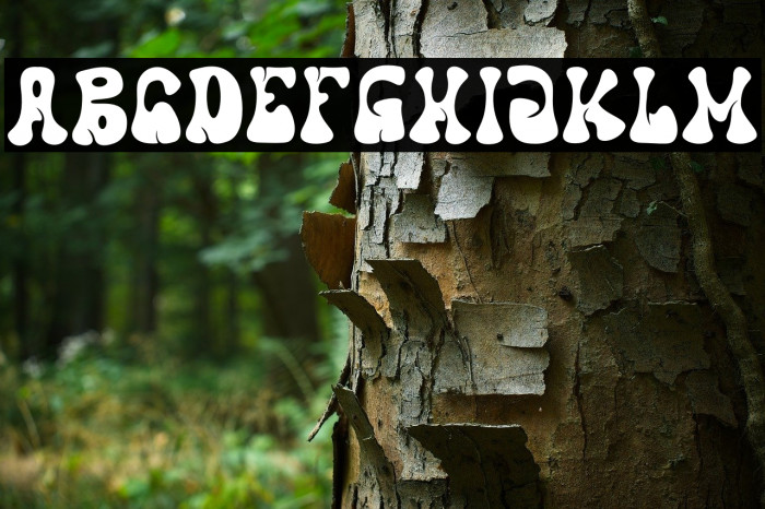 Funkdash Caratteri examples