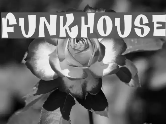 Funkhouse Font examples