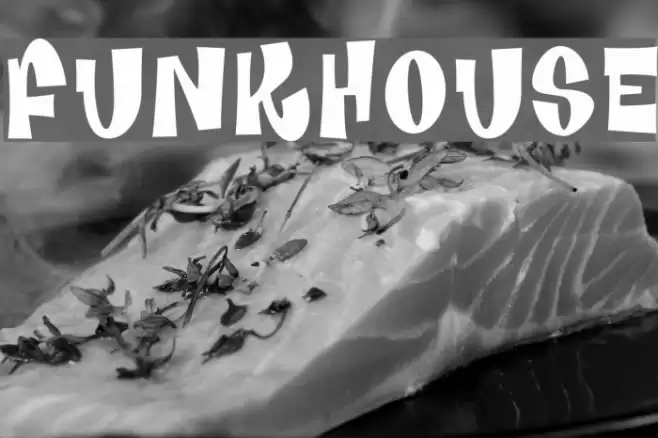 Funkhouse Font examples