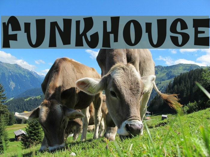 Funkhouse Font examples