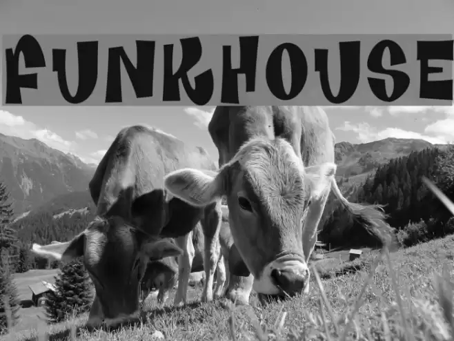 Funkhouse Fuentes examples