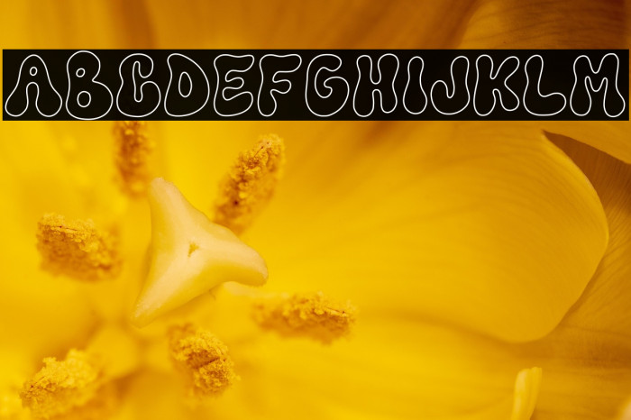 Funkie Retro Outline Example 3