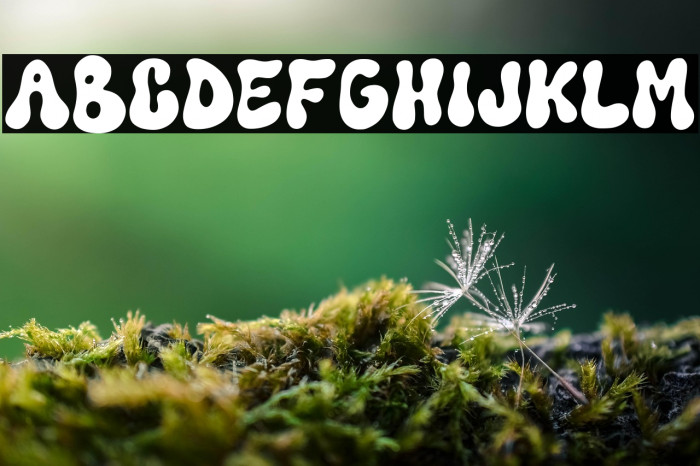 Funkie Retro Example 2