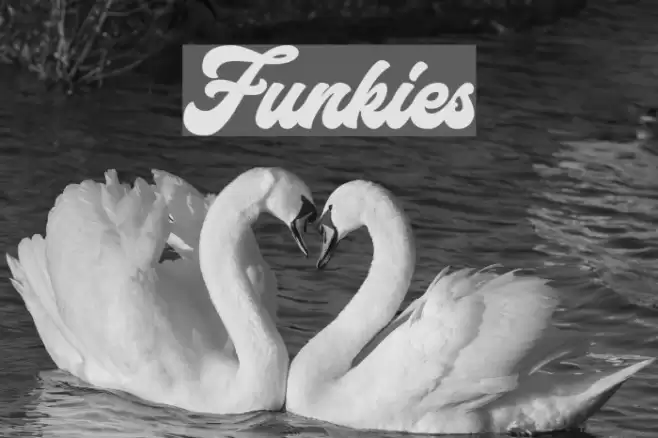 Funkies Font examples