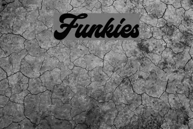 Funkies Font examples