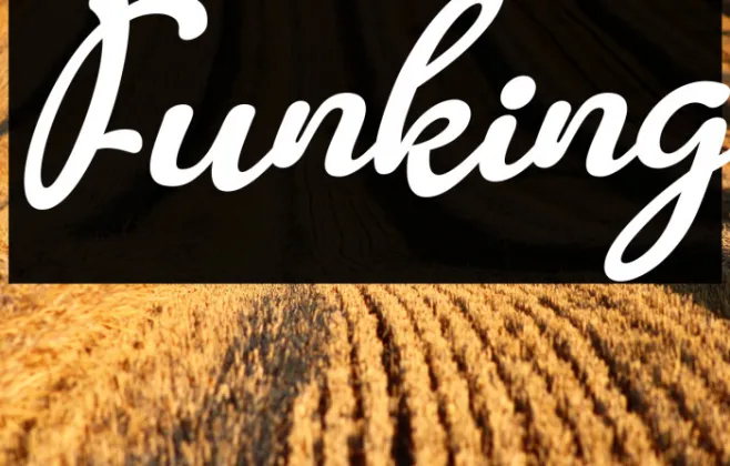 Funking Example 2