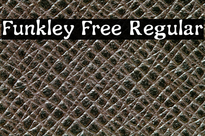 Funkley Free Regular Example 1