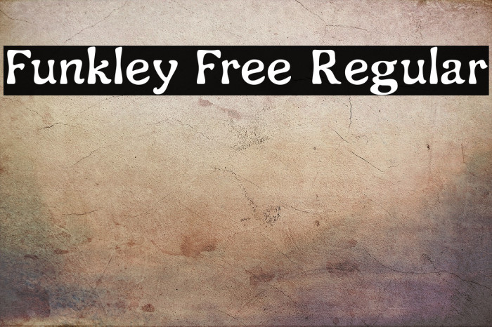 Funkley Free Regular Example 2