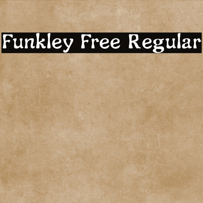 Funkley Free Regular Example 3