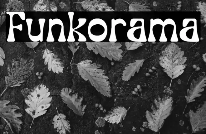 Funkorama Font examples