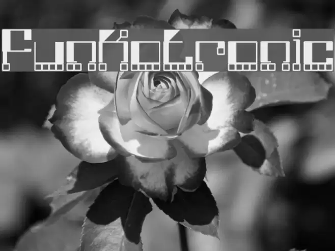 Funkotronic Font examples