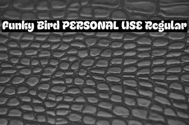 Funky Bird PERSONAL USE Regular Caratteri examples