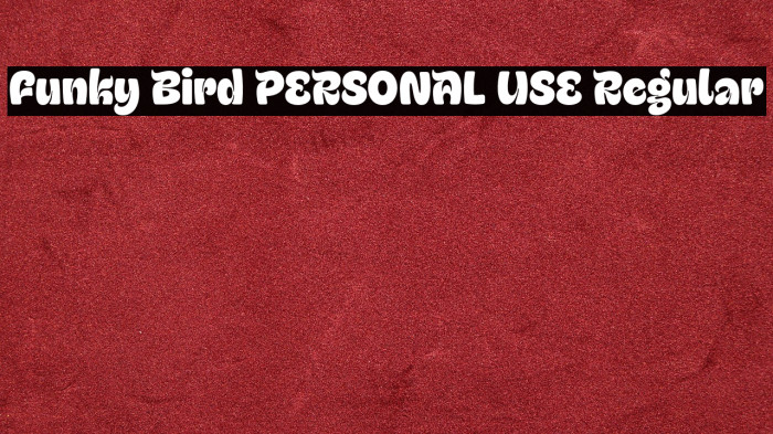 Funky Bird PERSONAL USE Regular Example 2