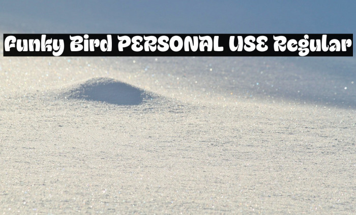 Funky Bird PERSONAL USE Regular Example 3