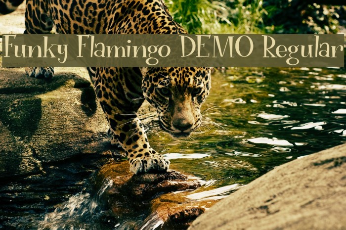 Funky Flamingo DEMO Regular Font examples