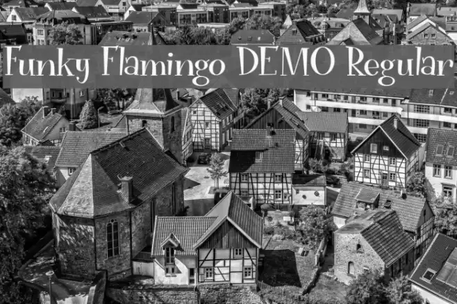 Funky Flamingo DEMO Regular Font examples