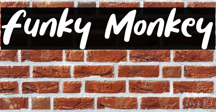 Funky Monkey Example 1