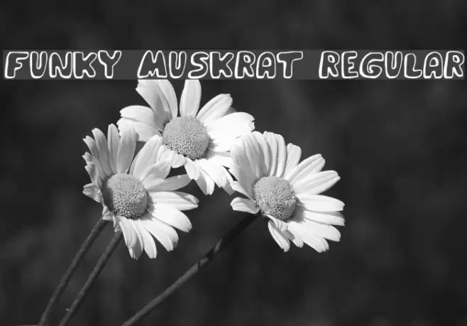 Funky Muskrat Regular フォント examples