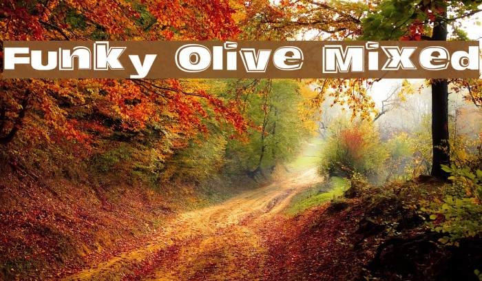 Funky Olive Mixed Font examples