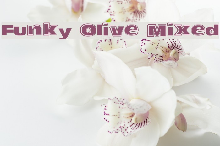 Funky Olive Mixed Font examples