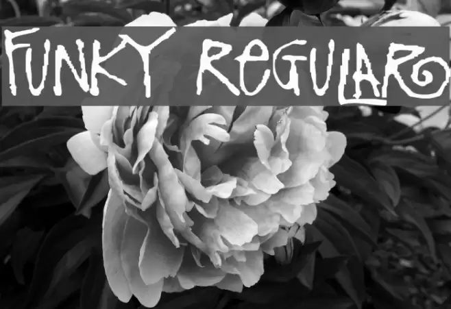 Funky Regular Font examples