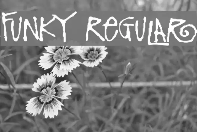 Funky Regular Font examples