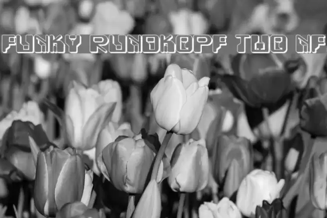Funky Rundkopf Two NF फ़ॉन्ट examples