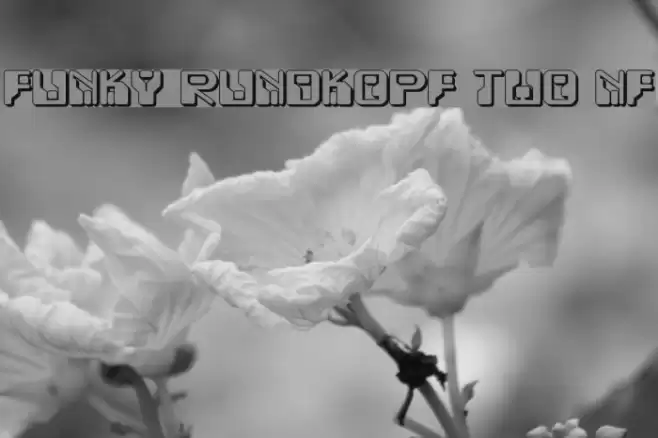 Funky Rundkopf Two NF फ़ॉन्ट examples