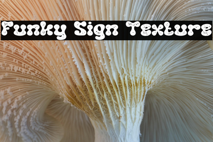 Funky Sign Texture Example 2