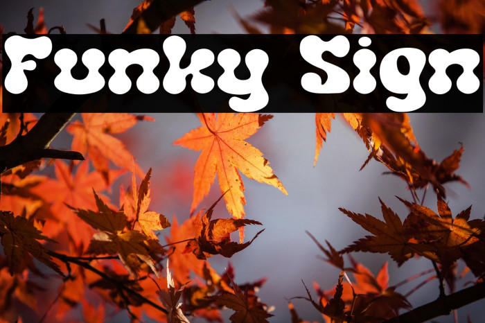 Funky Sign Example 2