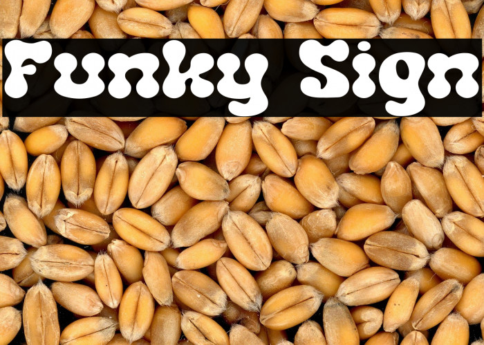 Funky Sign Example 3