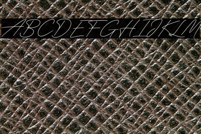 Funky Signature Example 1