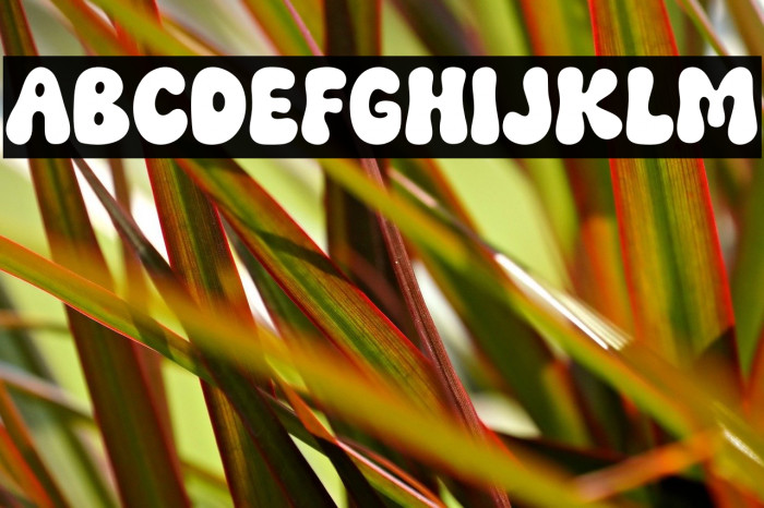 Funky Smile Regular Example 1