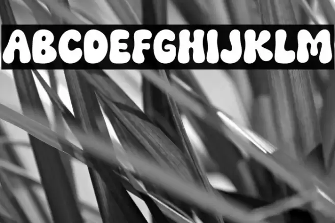 Funky Smile Regular خط examples