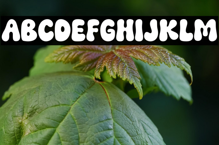 Funky Smile Regular Example 2